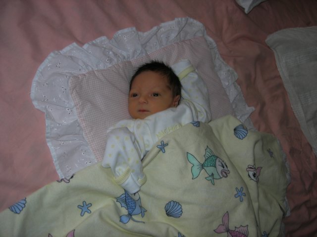 dscn2079.jpg
