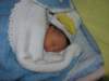 dscn2080_small.jpg